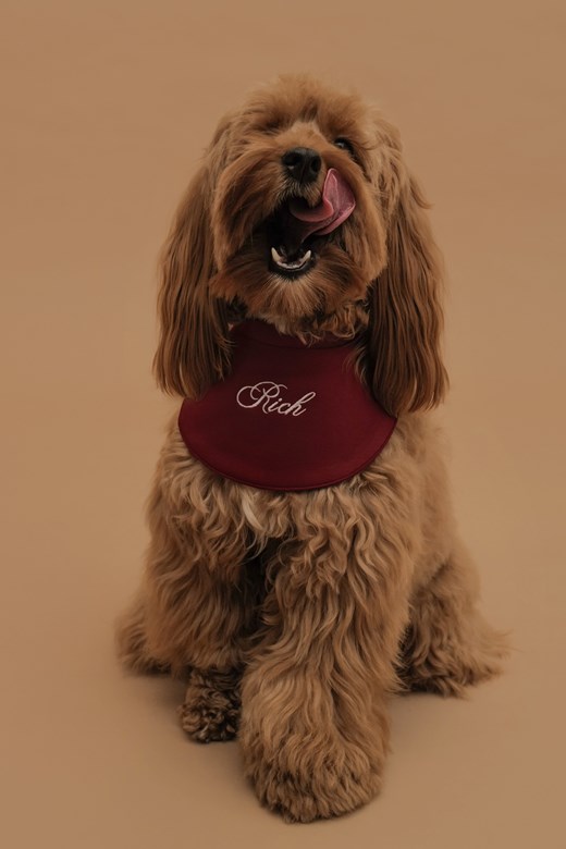 RICH好運棉質領巾