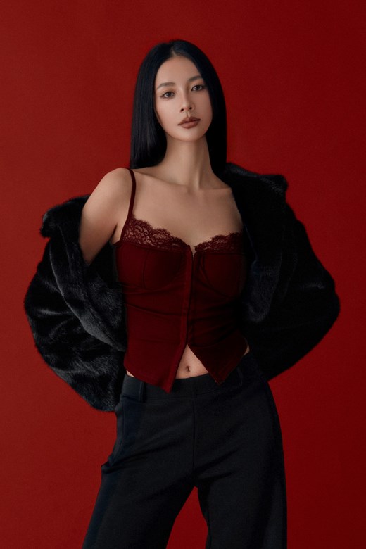 法式蕾絲馬甲BRA背心