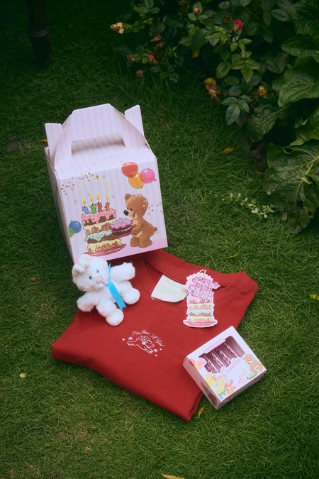 Suzy’s Zoo Birthday Girl Kit