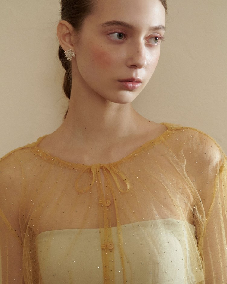 閃亮鑽透肌網紗上衣