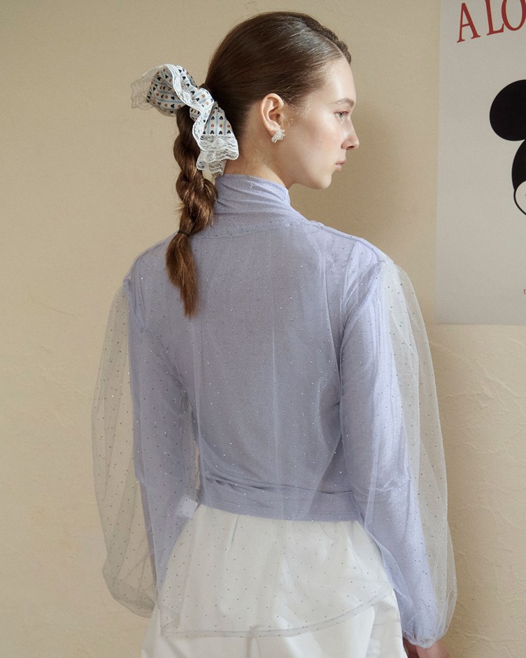 閃亮鑽透肌網紗上衣