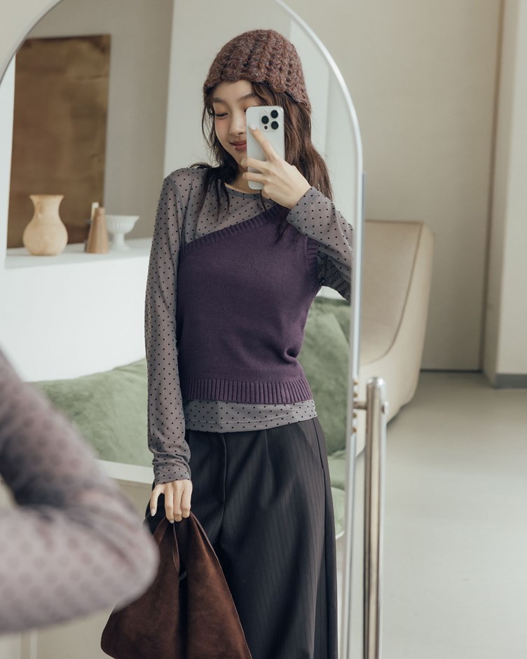 圓領點點透肌長袖上衣