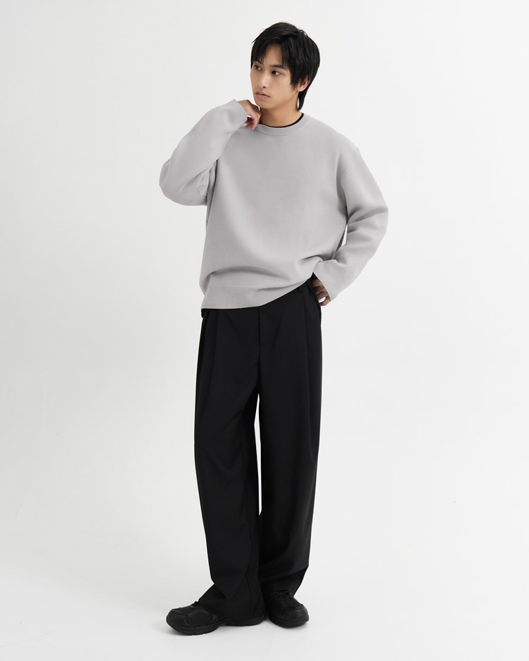 雙褶西裝寬褲 (立體抗皺西裝褲)